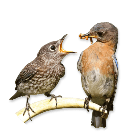 Generación de demanda